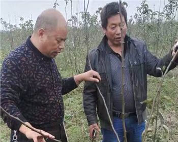 湖北客戶技術跟蹤指導